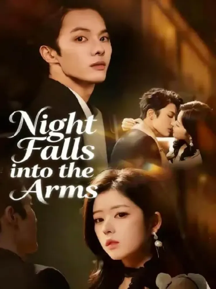 Night Falls into the Arms封面图